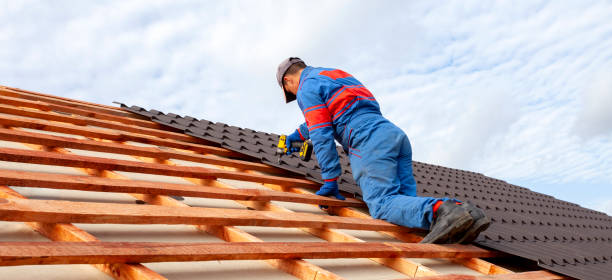 Best Roof Installation  in Avilla, AR